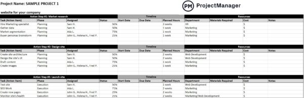 Action plan template