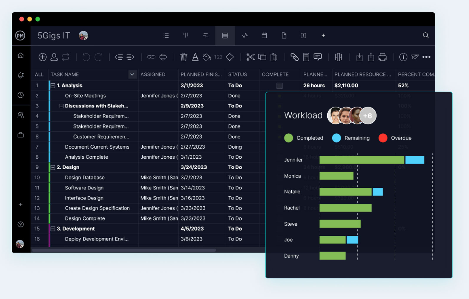 IT project management software