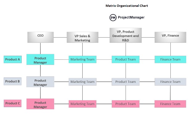 Matrix organizational structure example