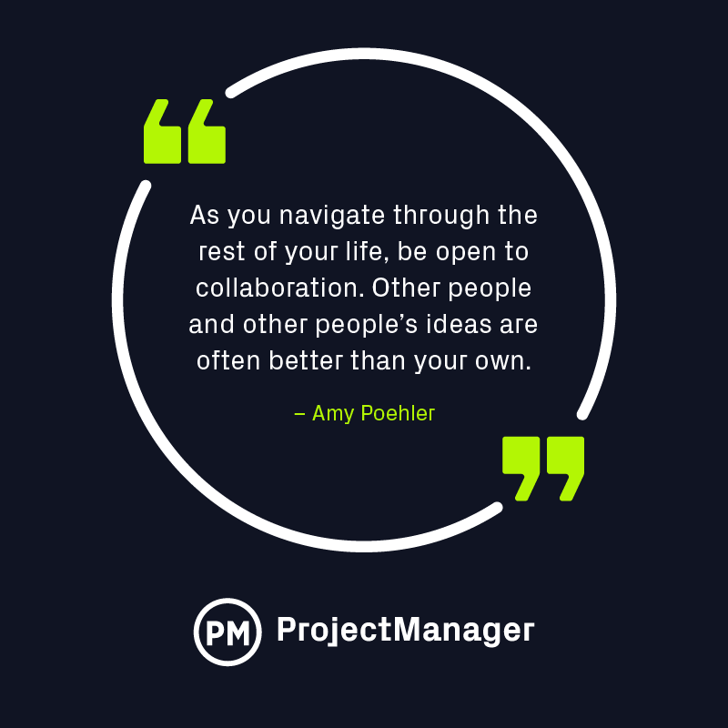 Amy Poehler project management quote