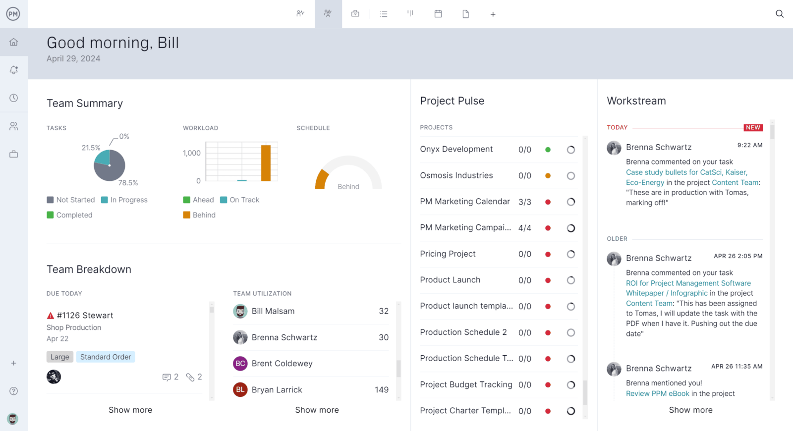 Team summary in ProjectManager