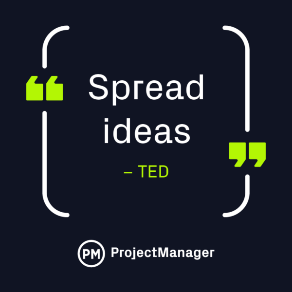 TED vision statement