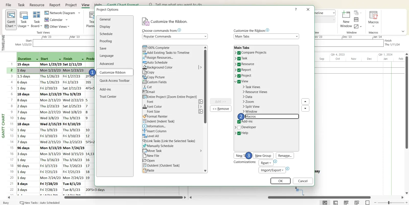 Customize Ribbon settings in Microsoft Project Gantt chart wizard